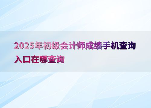 2025年初級(jí)會(huì)計(jì)師成績(jī)手機(jī)查詢?nèi)肟谂c信息技術(shù)咨詢服務(wù)指南