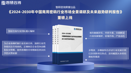 2024年中國(guó)商用密碼行業(yè)現(xiàn)狀分析及發(fā)展趨勢(shì)預(yù)測(cè)報(bào)告