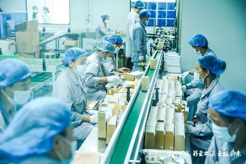 老滇凰云極工廠 以信息技術咨詢服務為引擎，驅動云南蜂業現代化轉型
